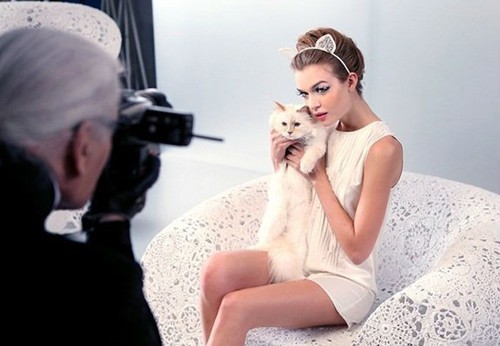 Cuộc sống vương giả của mèo Choupette - tình yêu lớn nhất đời Karl Lagerfeld - Ảnh 11. Cuộc sống vương giả của mèo Choupette - tình yêu lớn nhất đời Karl Lagerfeld - Ảnh 11.