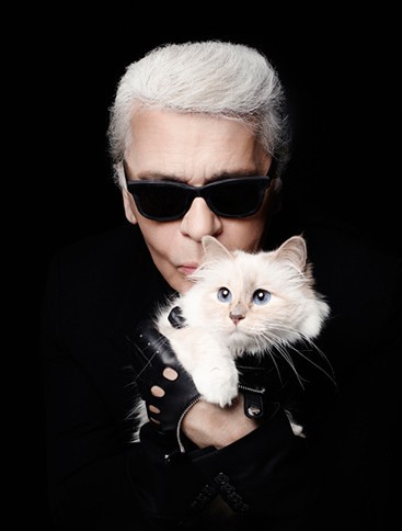 Cuộc sống vương giả của mèo Choupette - tình yêu lớn nhất đời Karl Lagerfeld - Ảnh 12.