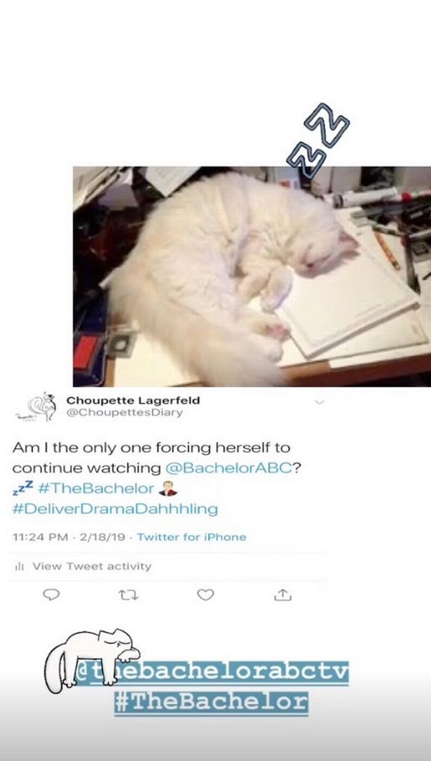 Cuộc sống vương giả của mèo Choupette - tình yêu lớn nhất đời Karl Lagerfeld - Ảnh 13. Cuộc sống vương giả của mèo Choupette - tình yêu lớn nhất đời Karl Lagerfeld - Ảnh 13.