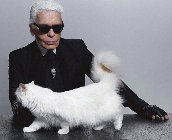 Cuộc sống vương giả của mèo Choupette - tình yêu lớn nhất đời Karl Lagerfeld - Ảnh 9.