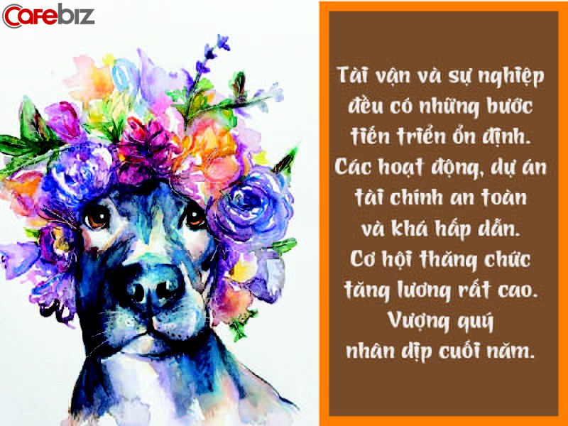 Chi tiết tử vi tuổi Tuất năm 2019: Sóng gió đi qua, bắt đầu bước vào thời kỳ bung lụa, nhưng phải nhớ Dục tốc bất đạt - Ảnh 1.
