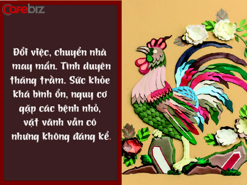 Chi tiết tử vi tuổi Dậu năm 2019: Vận khí hanh thông gấp nhiều lần; càng bền bỉ đến cùng, càng gặt quả ngọt ít người sánh kịp  - Ảnh 2.