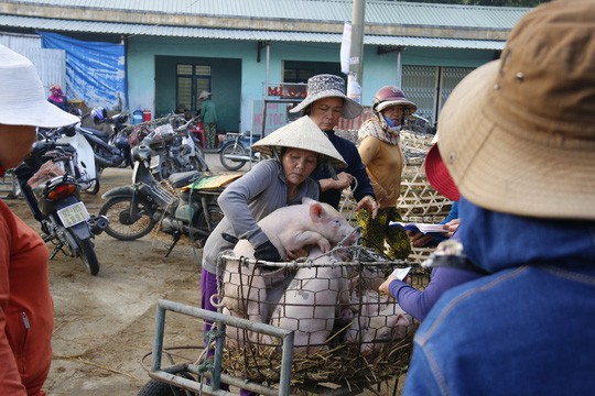  Nghề độc ở chợ heo lớn nhất Quảng Nam  - Ảnh 13.