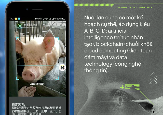 Trung Quốc chống lại dịch tả lợn châu Phi bằng công nghệ nhận diện mặt lợn như thế nào? - Ảnh 2.