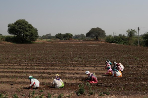 Từ nông trường đến khu ổ chuột, phụ nữ Ấn Độ rơi vào khủng hoảng nghề nghiệp - Ảnh 2.
