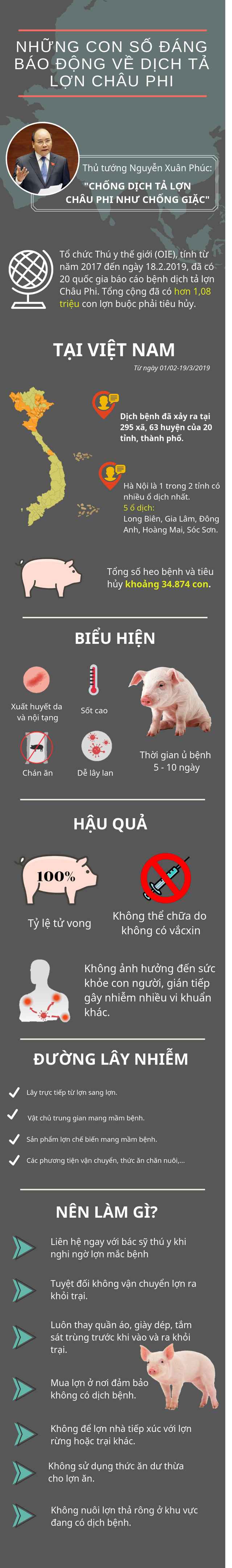 Infographic: Những con số đáng báo động về dịch tả lợn châu Phi - Ảnh 1.