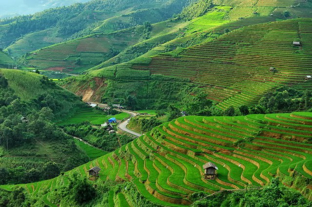  Báo cáo của HSBC chỉ ra 8 lý do khiến Việt Nam là một trong những nơi tuyệt vời nhất cho người nước ngoài sống ở châu Á  - Ảnh 3.