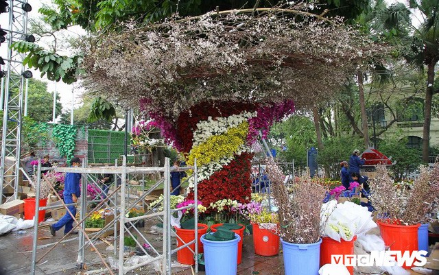Ảnh: 40.000 cành hoa anh đào chuyển từ Nhật Bản tới Hà Nội - Ảnh 6. Ảnh: 40.000 cành hoa anh đào chuyển từ Nhật Bản tới Hà Nội - Ảnh 6.