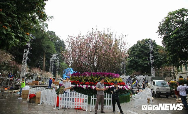 Ảnh: 40.000 cành hoa anh đào chuyển từ Nhật Bản tới Hà Nội - Ảnh 10. Ảnh: 40.000 cành hoa anh đào chuyển từ Nhật Bản tới Hà Nội - Ảnh 10.