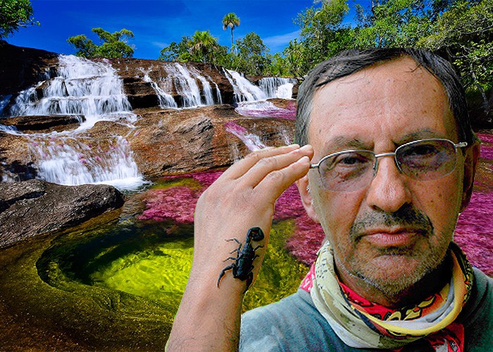 caño cristales - Đây là con sông đẹp nhất thế giới: Lung linh 5 màu sắc, được mệnh danh là “cầu vồng sống” vi diệu nhất - photo caño cristales - photo 14 1553946049952345744306 - Đây là con sông đẹp nhất thế giới: Lung linh 5 màu sắc, được mệnh danh là “cầu vồng sống” vi diệu nhất