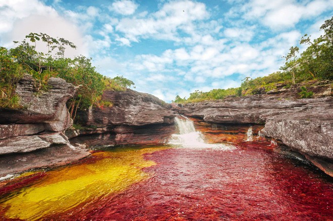 caño cristales - Đây là con sông đẹp nhất thế giới: Lung linh 5 màu sắc, được mệnh danh là “cầu vồng sống” vi diệu nhất - photo caño cristales - photo 3 1553946049936451480837 - Đây là con sông đẹp nhất thế giới: Lung linh 5 màu sắc, được mệnh danh là “cầu vồng sống” vi diệu nhất