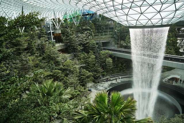  Trải nghiệm ở sân bay tốt nhất thế giới, nơi có cả cánh rừng và thác nước trong khuôn viên  - Ảnh 1.