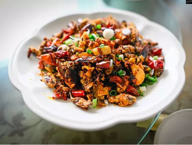 Mục sở thị trang trại nuôi hàng triệu con gián làm mồi nhậu - Ảnh 4. Mục sở thị trang trại nuôi hàng triệu con gián làm mồi nhậu - Ảnh 4.