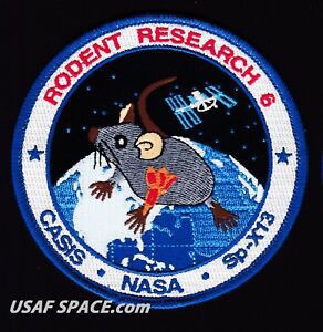 NASA mang chuột lên ISS, và chúng biến thành những con chuột bay đáng sợ thế này đây - Ảnh 5.