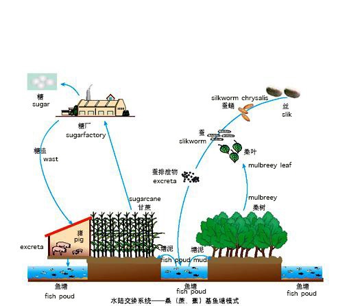 Trung Quốc đang nuôi hơn 1,4 tỷ dân của mình như thế nào? (Phần 1) - Ảnh 11.