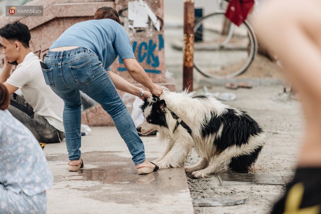 Hà Nội oi nóng ngộp thở, nhiều người mang theo cả thú cưng ra Hồ Tây tắm bất chấp biển cấm - Ảnh 22.