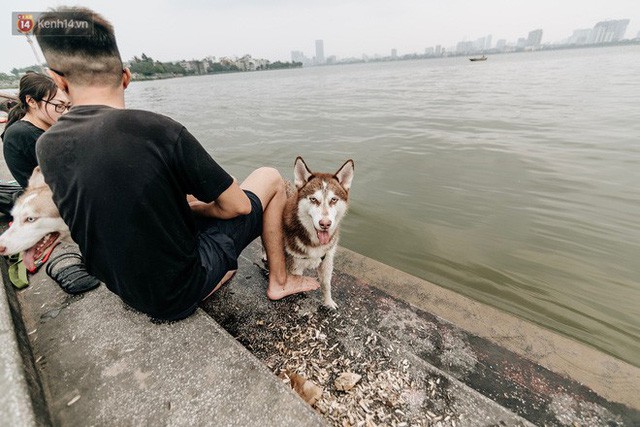 Hà Nội oi nóng ngộp thở, nhiều người mang theo cả thú cưng ra Hồ Tây tắm bất chấp biển cấm - Ảnh 17.