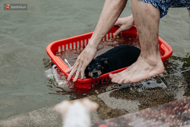 Hà Nội oi nóng ngộp thở, nhiều người mang theo cả thú cưng ra Hồ Tây tắm bất chấp biển cấm - Ảnh 21.