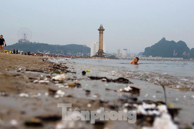  Trẻ ngụp lặn bơi trong rác biển ở Hạ Long  - Ảnh 4.