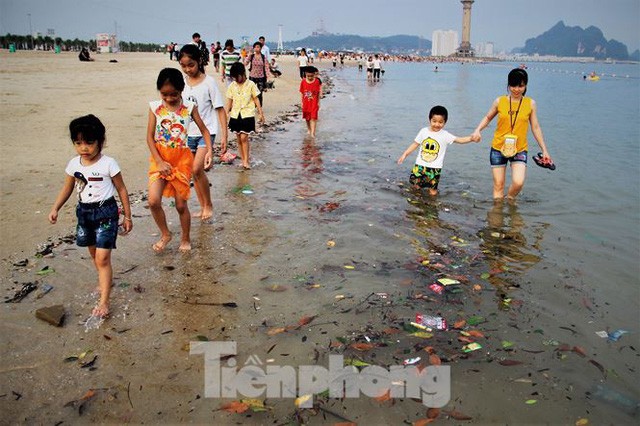  Trẻ ngụp lặn bơi trong rác biển ở Hạ Long  - Ảnh 5.