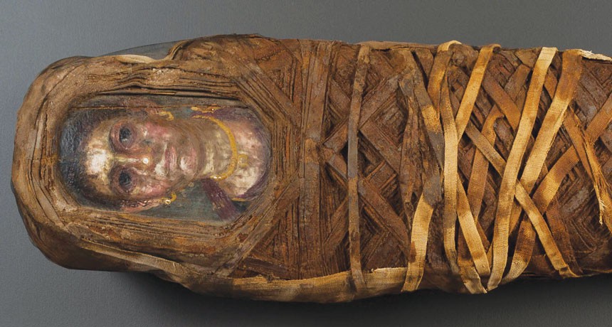 Hãy khám phá những bí ẩn của xác ướp Ai Cập cổ đại, tìm hiểu về cuộc sống và tôn giáo của những người pharaohs hàng nghìn năm trước đây.