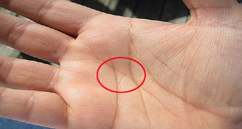 Xem chỉ tay hiếm gặp, không sớm thì muộn cũng phát tài - Ảnh 2. Xem chỉ tay hiếm gặp, không sớm thì muộn cũng phát tài - Ảnh 2.