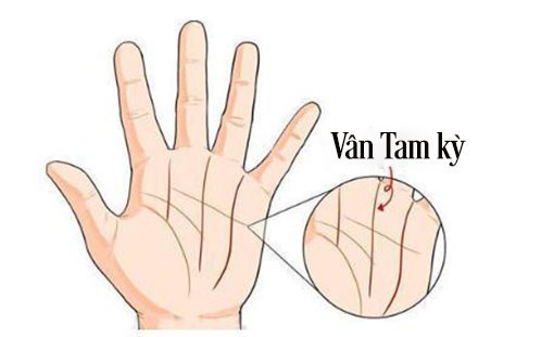 Xem chỉ tay hiếm gặp, không sớm thì muộn cũng phát tài - Ảnh 4. Xem chỉ tay hiếm gặp, không sớm thì muộn cũng phát tài - Ảnh 4.