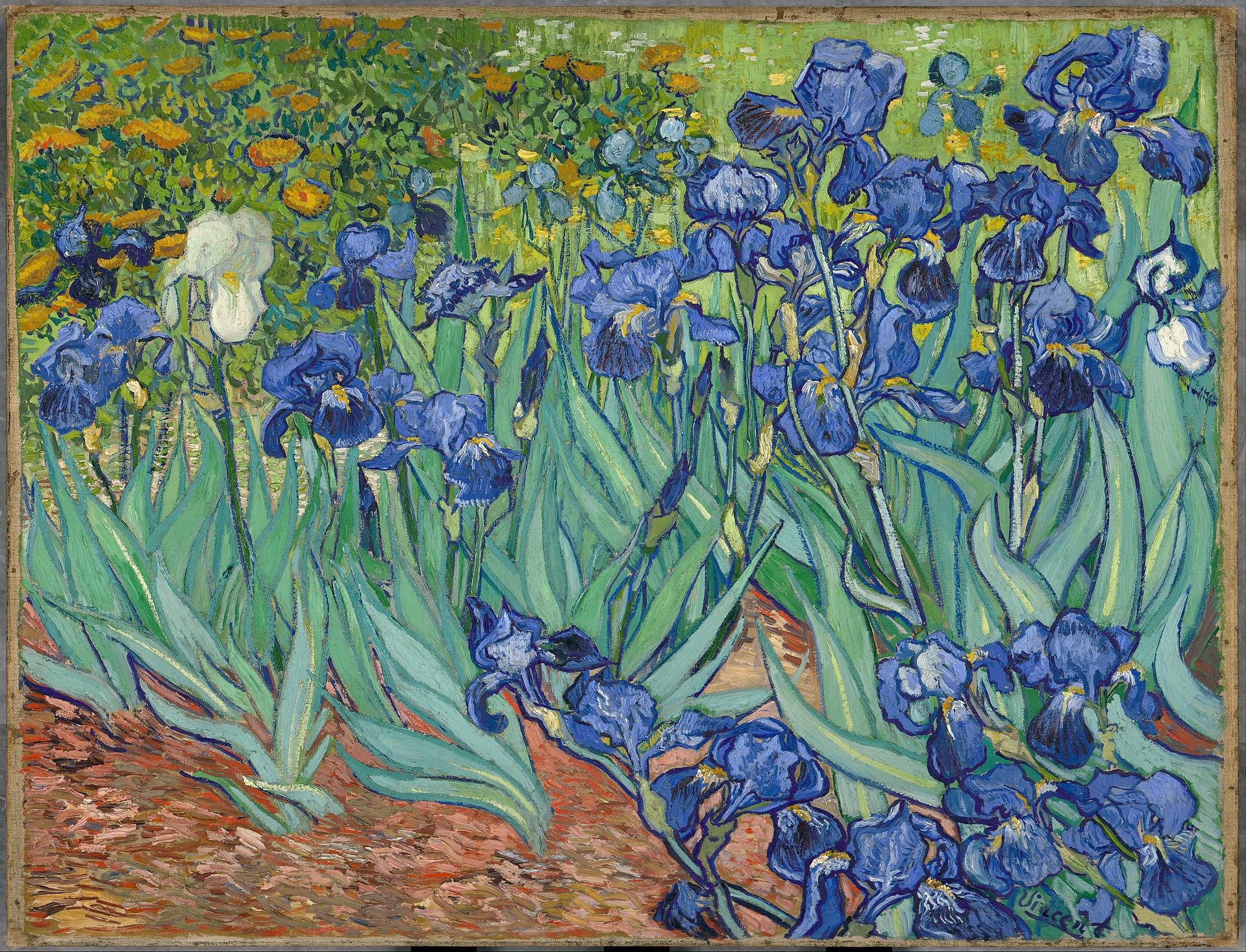 Chuyện đẹp] Nỗi buồn của Van Gogh
