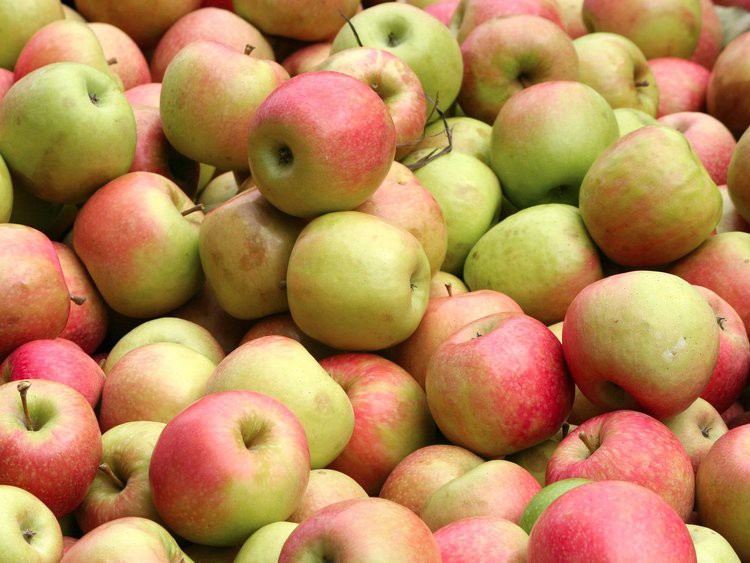 51 câu hỏi 'hại não' - 51 câu hỏi ‘hại não’ nhất trong những bài phỏng vấn của Apple - photo 51 câu hỏi 'hại não' - photo 1 1557137317562152521877 - 51 câu hỏi ‘hại não’ nhất trong những bài phỏng vấn của Apple