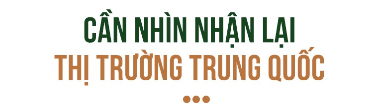 Đằng sau lô xoài Việt đầu tiên xuất khẩu sang đất Mỹ - Ảnh 6.