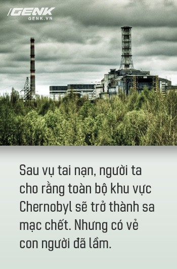 Từ địa ngục, Chernobyl nay trở thành thiên đường cho các loài động vật, có phải con người mới đáng sợ hơn cả hạt nhân? - Ảnh 6.
