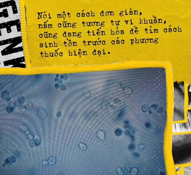 Candida auris, thứ nấm kháng thuốc bí ẩn đang đe dọa sự sống còn của toàn nhân loại - Ảnh 2.