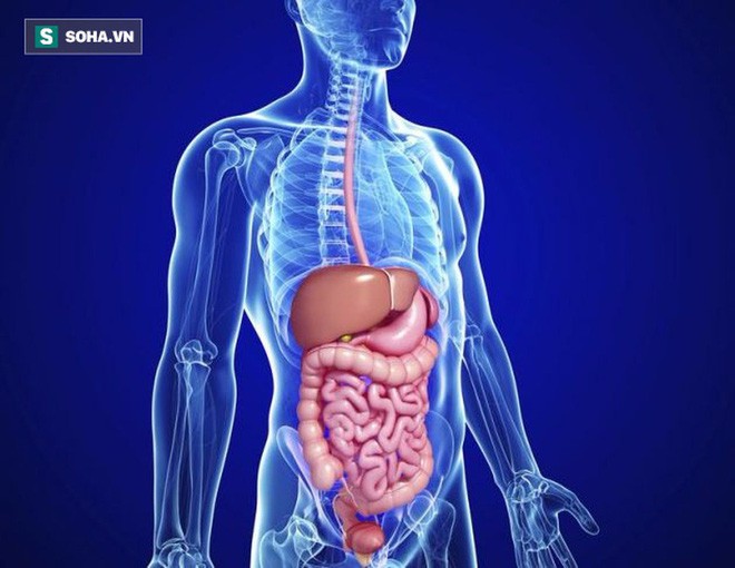 sức khỏe và tuổi thọ - Kiên trì ăn “5 màu thực phẩm” mỗi ngày: Người 70 tuổi có cơ thể trẻ khỏe như 50 tuổi - photo sức khỏe và tuổi thọ - photo 1 15597903810551588443225 - Kiên trì ăn “5 màu thực phẩm” mỗi ngày: Người 70 tuổi có cơ thể trẻ khỏe như 50 tuổi