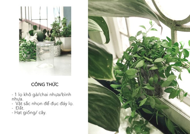 kẻ trộm nhựa - Hàng loạt nghệ sĩ và KOL đình đám cùng khoe “chiến tích trộm nhựa” sau thử thách 1, dân tình hào hứng tham gia thử thách số 2 và số 3 - photo kẻ trộm nhựa - photo 29 15598907168927950754 - Hàng loạt nghệ sĩ và KOL đình đám cùng khoe “chiến tích trộm nhựa” sau thử thách 1, dân tình hào hứng tham gia thử thách số 2 và số 3