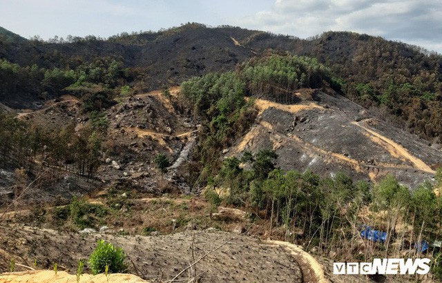 Ảnh: Xót xa rừng Quảng Nam chìm trong biển lửa suốt 22 tiếng, 107 ha keo bị thiêu rụi  - Ảnh 1.