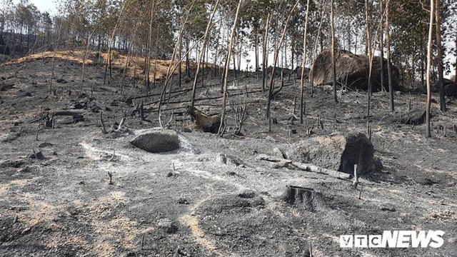 Ảnh: Xót xa rừng Quảng Nam chìm trong biển lửa suốt 22 tiếng, 107 ha keo bị thiêu rụi  - Ảnh 5.