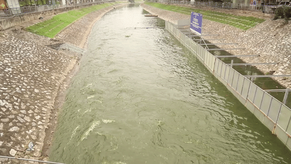 Làm sạch sông Tô Lịch, chuyên gia Nhật không cần nước từ hồ Tây - Ảnh 2.