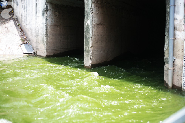  Chùm ảnh: Qua rồi thời đen đúa vẩn đục, giờ đây nước sông Tô Lịch đổi màu xanh rêu đẹp đến ngỡ ngàng  - Ảnh 1.