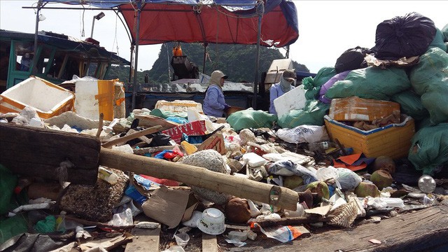  Vịnh Hạ Long: Mỗi ngày vớt 6-7 tấn rác, vớt xong rác lại đầy  - Ảnh 1.