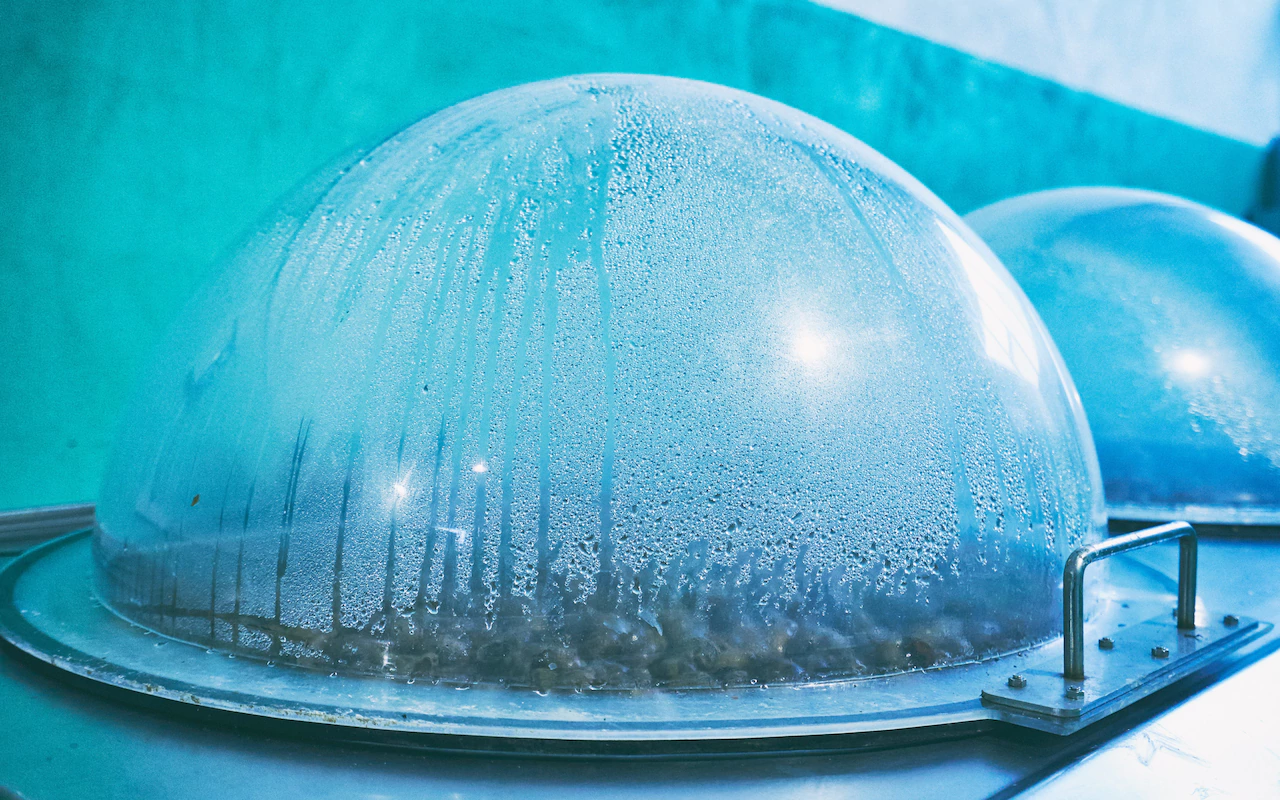 Ngành công nghiệp mỹ phẩm từ ốc sên: Trị giá trăm triệu USD, chất nhờn còn quý hơn vàng, nông dân hưởng lợi lớn - Ảnh 2. Ngành công nghiệp mỹ phẩm từ ốc sên: Trị giá trăm triệu USD, chất nhờn còn quý hơn vàng, nông dân hưởng lợi lớn - Ảnh 2.