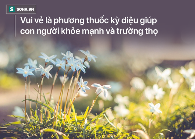  Con chuột nhịn 3 ngày để chui vào bình thức ăn: Cái kết đủ đau để thức tỉnh con người! - Ảnh 1.