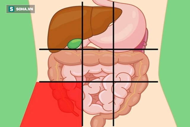  Nếu có 5 triệu chứng bất thường này sau khi ăn: Phải đi khám nội tạng càng sớm càng tốt  - Ảnh 1.