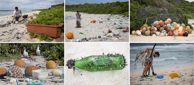Phát hiện lượng rác nhựa khổng lồ tại hòn đảo thiên đường không người ở giữa Thái Bình Dương: 30 năm trôi qua trông vẫn như mới - Ảnh 4.