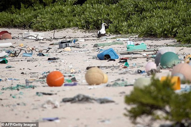 Phát hiện lượng rác nhựa khổng lồ tại hòn đảo thiên đường không người ở giữa Thái Bình Dương: 30 năm trôi qua trông vẫn như mới - Ảnh 2.
