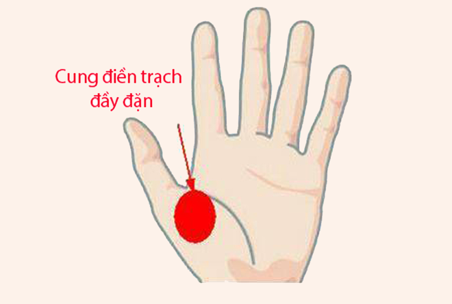 Cung Điền Trạch Trên Bàn Tay: Bí Ẩn Về Vận Mệnh Đất Đai và Nhà Cửa