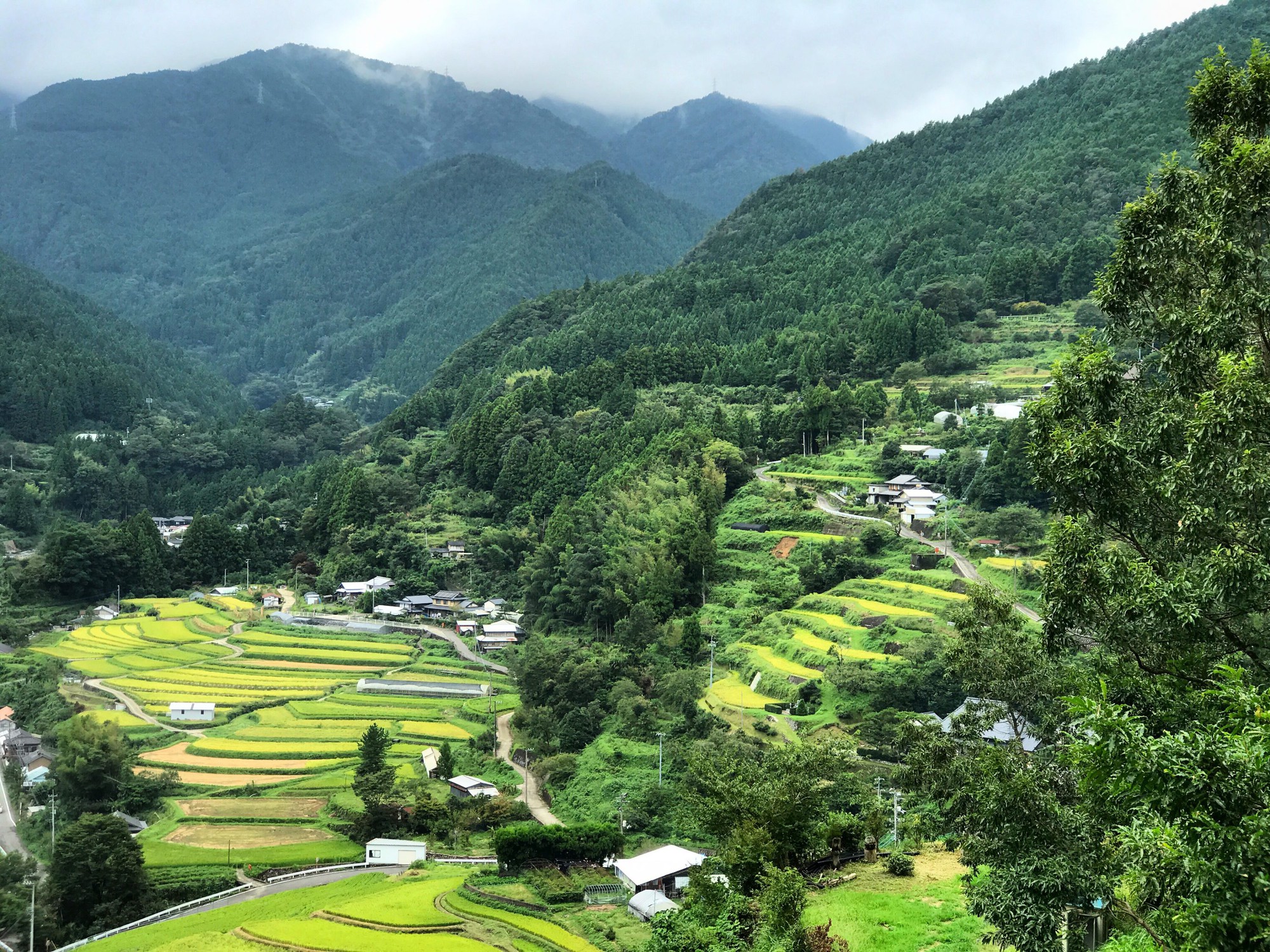 kamikatsu - Giải mã bí mật thị trấn không rác thải đầu tiên trên thế giới - photo kamikatsu - photo 1 15626490667841636115672 - Giải mã bí mật thị trấn không rác thải đầu tiên trên thế giới