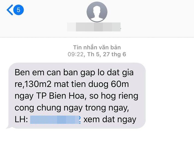  Người dân đau đầu nhức óc vì nạn call center, tin nhắn rác mời chào mua bất động sản  - Ảnh 1.