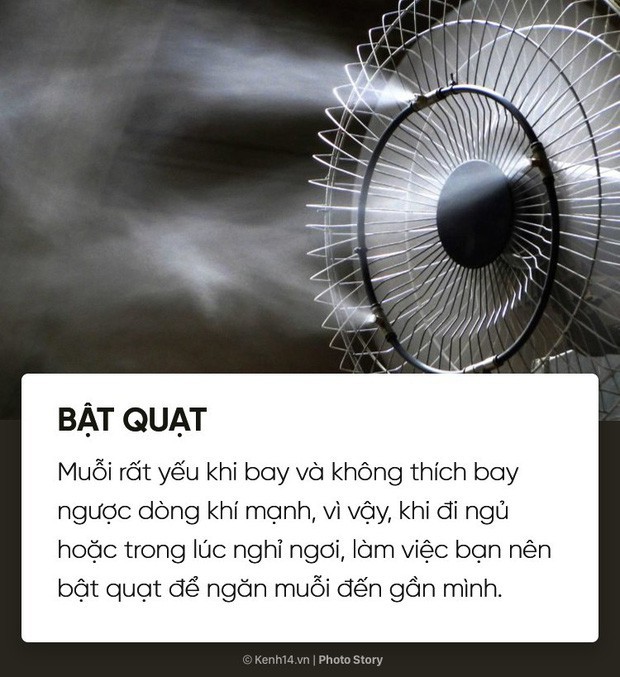  Dịch sốt xuất huyết lại bùng lên, đừng bỏ qua những cách đuổi muỗi đơn giản dễ áp dụng này để muỗi không có cơ hội hại bạn  - Ảnh 2.