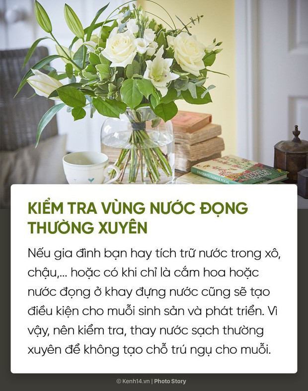  Dịch sốt xuất huyết lại bùng lên, đừng bỏ qua những cách đuổi muỗi đơn giản dễ áp dụng này để muỗi không có cơ hội hại bạn  - Ảnh 4.