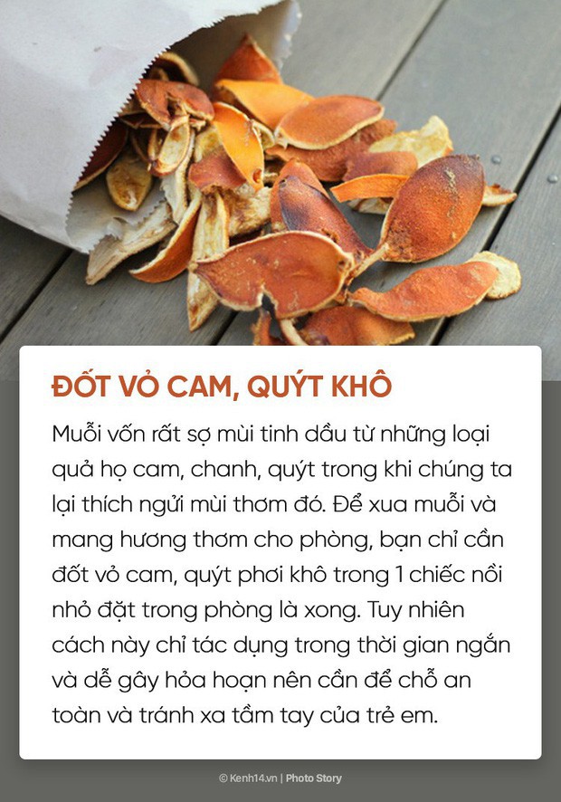  Dịch sốt xuất huyết lại bùng lên, đừng bỏ qua những cách đuổi muỗi đơn giản dễ áp dụng này để muỗi không có cơ hội hại bạn  - Ảnh 5.